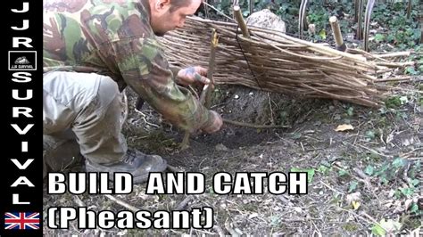 Image result for Primitive Catching Bird