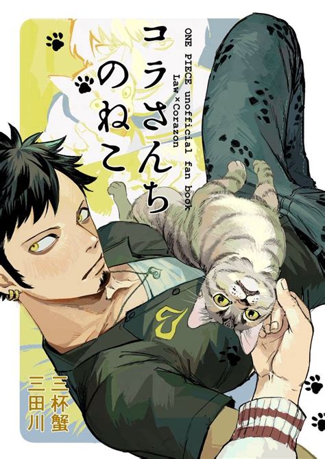 Law One Piece ABS 的图像结果