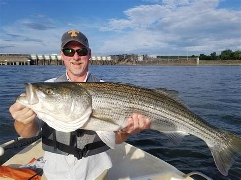 FISH ON! GUIDED TOURS (Knoxville) - What to Know Before You Go