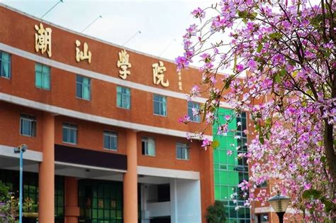 2024年潮汕职业技术学院成考报名，考生请进 - 哔哩哔哩