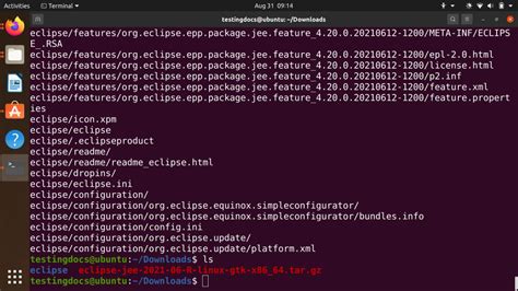Image result for How to Use Eclipse Linux