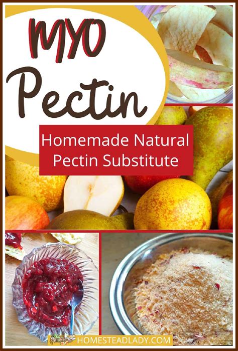Make Powdered Natural Pectin Substitute for Jam & Jelly • Homestead Lady