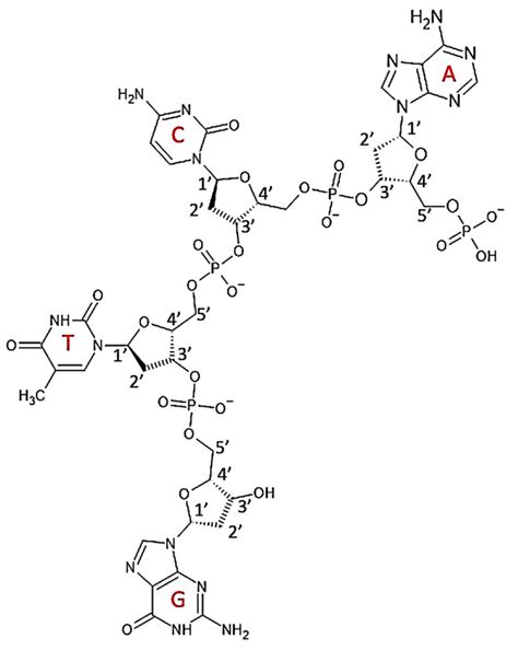 The Influence of the Structure of Selected Polymers on Their Properties ...