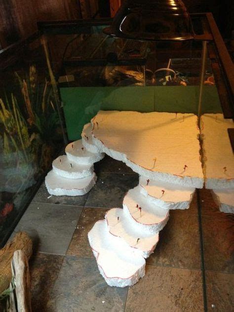 Image result for Ball Python Set Up