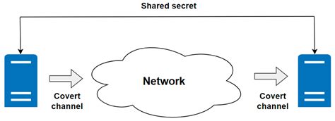Detecting Malicious Devices in IPSEC Traffic with IPv4 Steganography