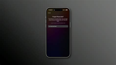 Image result for Reset Passcode on IPhone 11