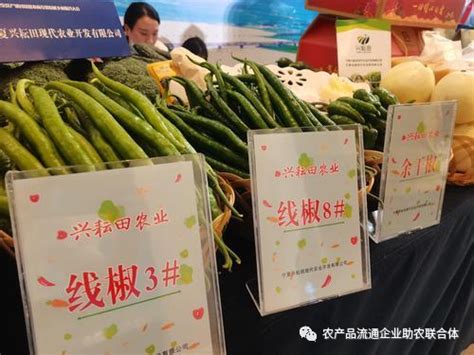 中国蔬菜官方唯一投稿网站