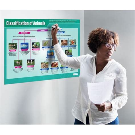 Image result for Classification Object Poster