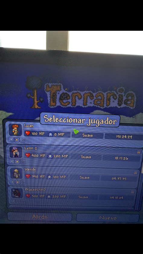 Image result for Tmodloader Bug