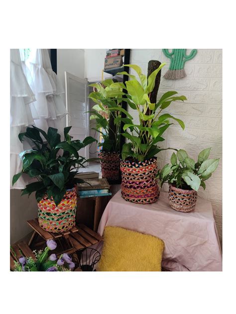 Jute Planters - Multi colored – TrendyHandmade