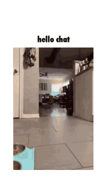 Image result for Hello Chat Meme