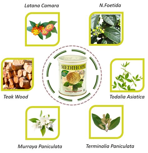 Hope Medicine Ingredients – Hope Ayurvedic Medicines Pvt. Ltd.