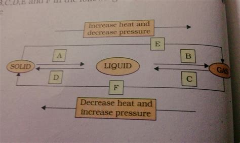 Name A,B,C,D,E & F in the following diagram showing change in its state ...