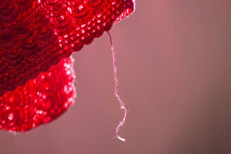 Claudia Myers column: Just when your loose ends tie up, something ...