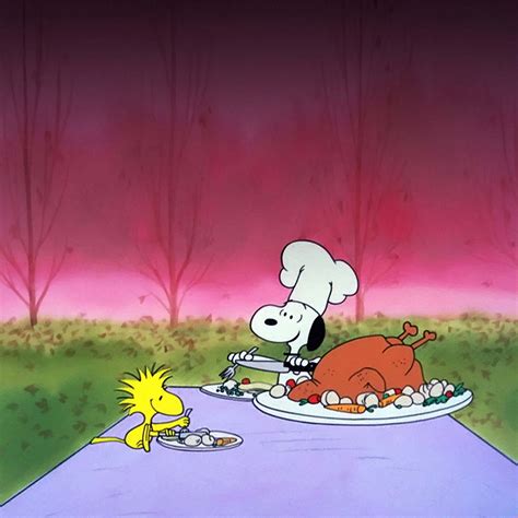 [100+] Snoopy Thanksgiving Wallpapers | Wallpapers.com