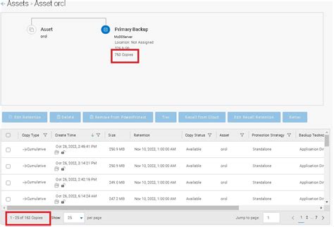 PowerProtect Data Manager: 'View Copies' Count of Items Does not Match ...