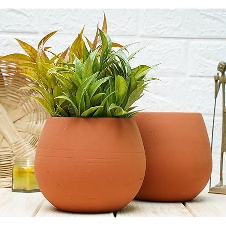 GOLD DUST Terracotta Pots, Clay Pots for Plants, Money Plant Pot ...