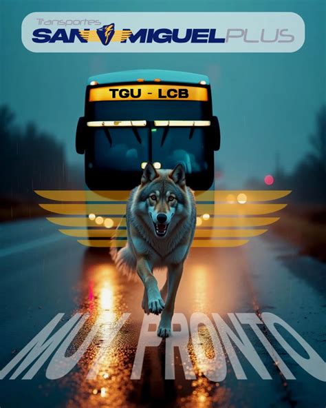 Transportes San Miguel Plus (@transportessanmiguelplus) • Instagram ...
