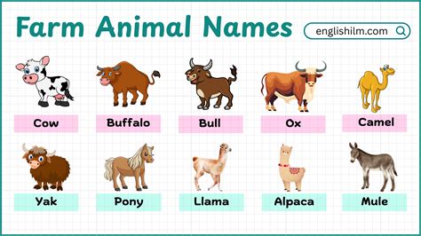 Farm Animals Name with Pictures • Englishilm