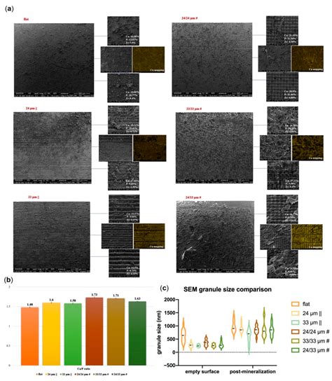 Bioinstructive Micro-Nanotextured Zirconia Ceramic Interfaces for ...