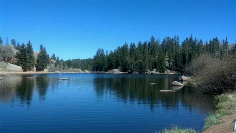 Farish Campground Colorado: Reservations & Amenities