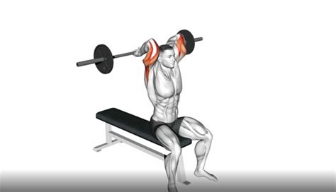 Tricep Extension Barbell How To Perform Seated EZ Bar Overhead Triceps