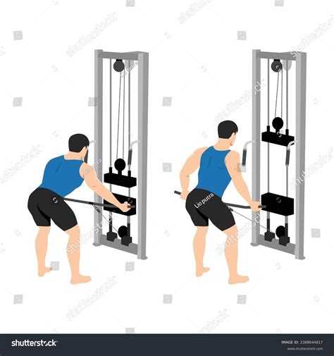 Image result for Cable Bent Over Row