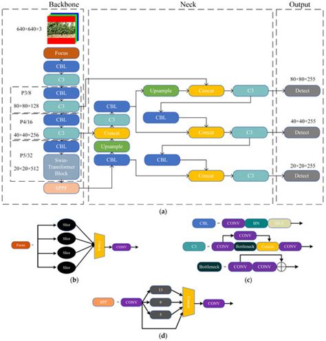 Swin-Transformer-YOLOv5 for Real-Time Wine Grape Bunch Detection