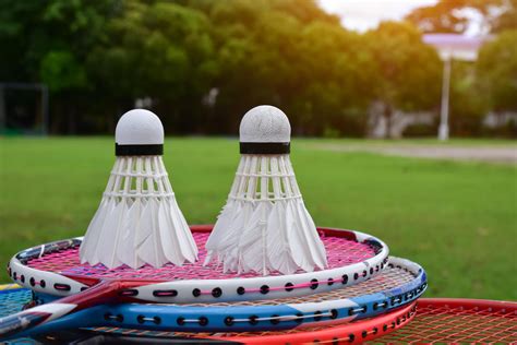 Outdoor Games Badminton 的图像结果