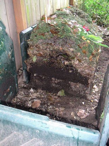 Making a Homemade Composter 的图像结果