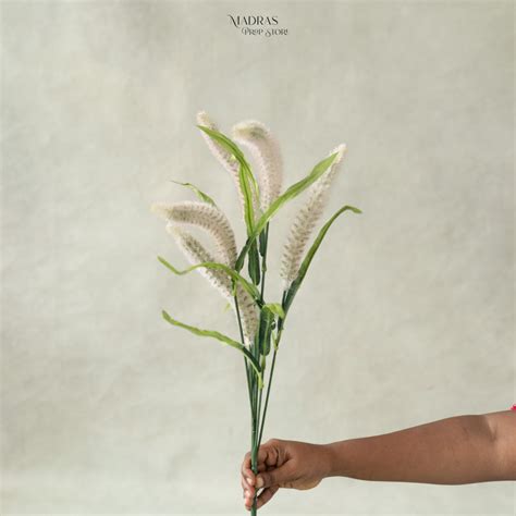 Boho Theme | Madras Prop Store