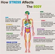 Image result for Stress/Pain