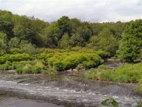 Moses Gate Country Park, bolton, United Kingdom - Top Attractions ...