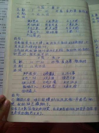 最常用的10000句汉语,5000常用汉语词汇,罕见汉字大全10000个_大山谷图库
