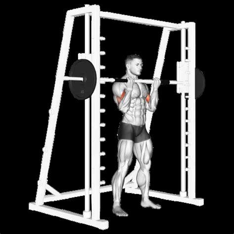 Image result for Bicep Curl Machine Guide