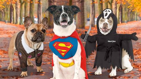 Best Dog Costumes For Two Dogs at Angela Babcock blog