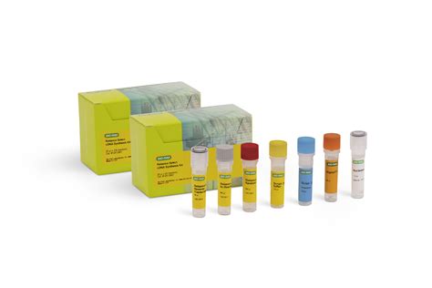 Bio-Rad Introduces Reliance Select cDNA Synthesis Kit, a Reverse ...