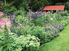 Best Plants For Cottage Garden by Cottage Garden Plants Hgtv Best Plants For Cottage Garden
