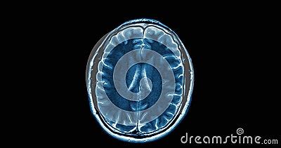 Image result for Body Parts Scan