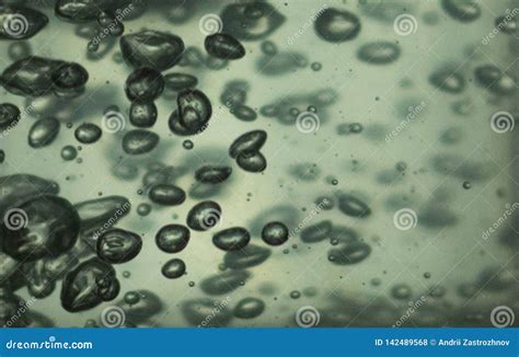 Bacteria or Germs Microorganism Cells Under Microscope. on Green ...