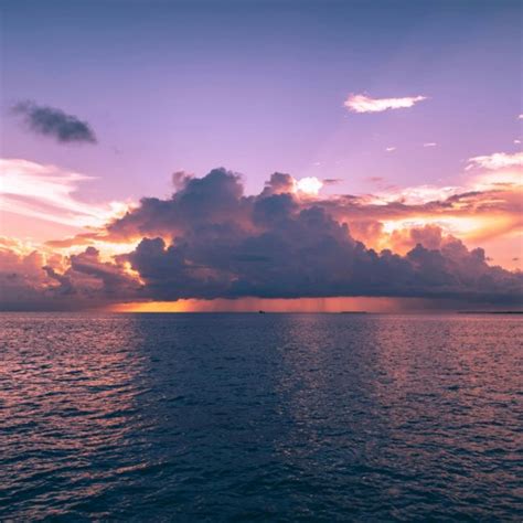 Songs for Animation Memes 的图像结果