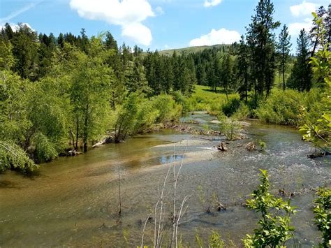 Bridger Creek Family Health Bozeman: Quality Care for Your Family