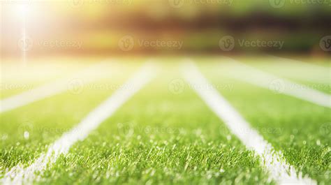 Sports field Background 的图像结果