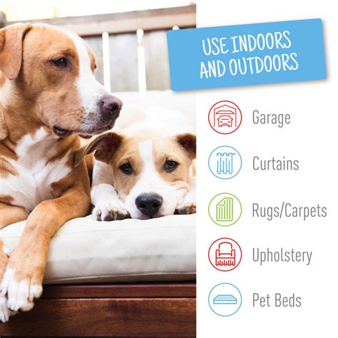 Adams Flea and Tick Carpet & Home Spray | Adams™