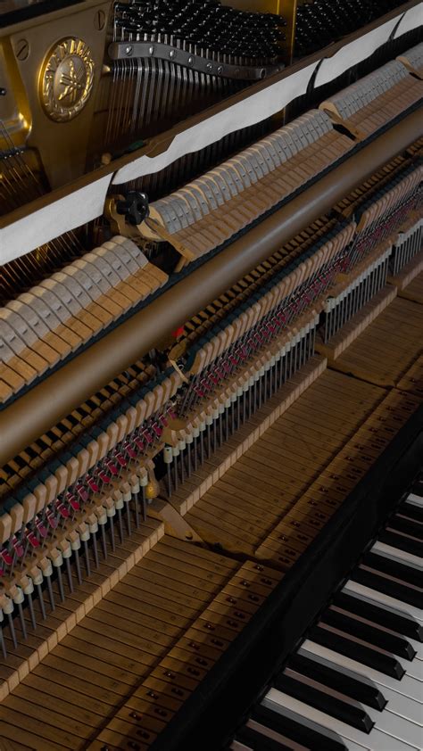 Discover the 12 Best and Worst Piano Brands of 2025 🎹 - Piano Brands