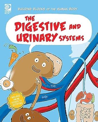 The Digestive and Urinary Systems (Building Blocks of the Human Body ...