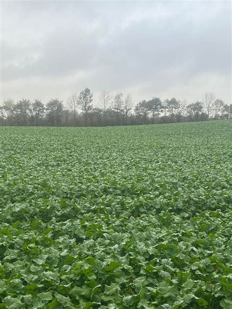 Torben Rasmussen 40-års jubilæum i Lysgaard, Blichersvej 51, Viborg, 23 ...