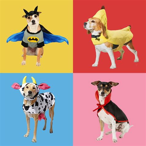 What Is Dog Halloween Costume at Roger Grooms blog