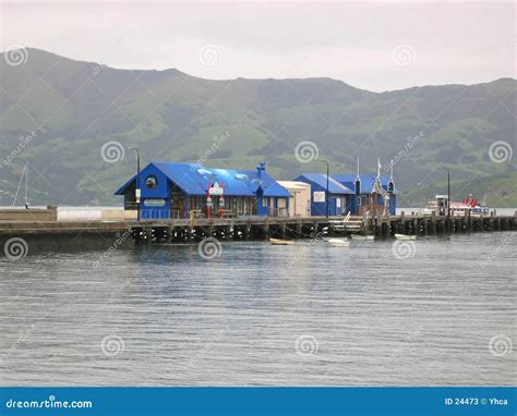 Harbor in Akaroa, New Zealand Stock Image - Image of wharf, akaroa: 24473