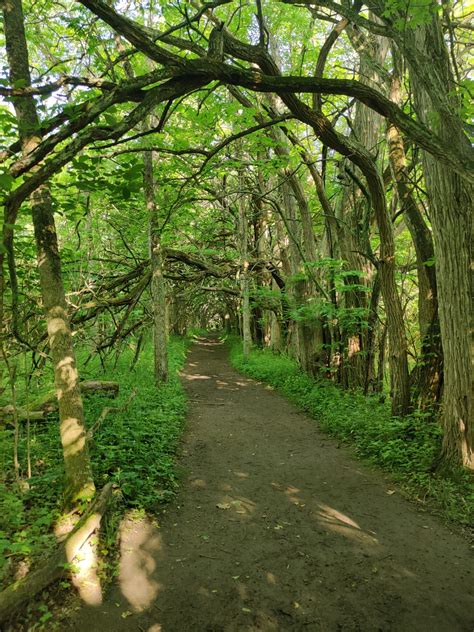 MetroParks Landmark Bingo - Five Rivers MetroParks